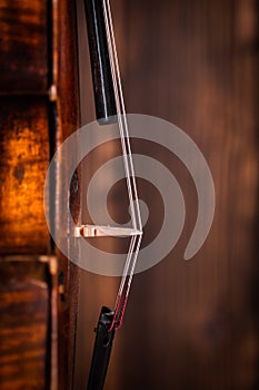 Violin detail