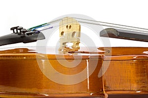 Violin photo