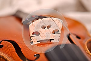 Violin details