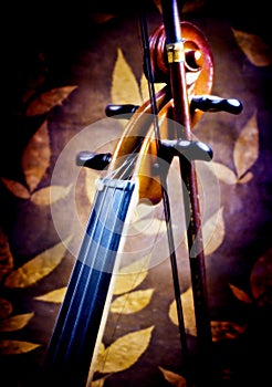 Violin details