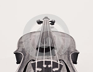 Violin details - Isolated violin