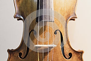 Violin details - Isolated violin