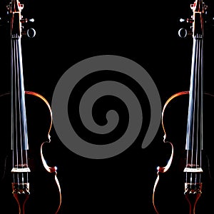 Violin duet. Two violins
