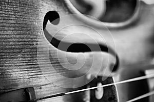 violin efe photo