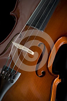 Violin or fiddle