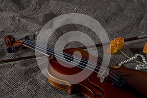 Violin, fiddlestick and bowtie, canvas background