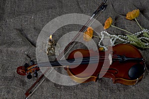 Violin, fiddlestick and bowtie, canvas background