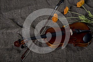 Violin, fiddlestick and bowtie, canvas background