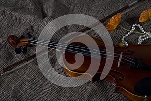 Violin, fiddlestick and bowtie, canvas background photo