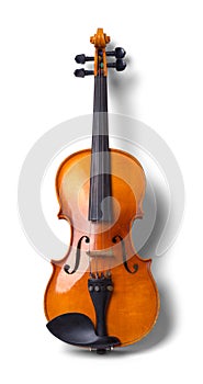 Violin Front