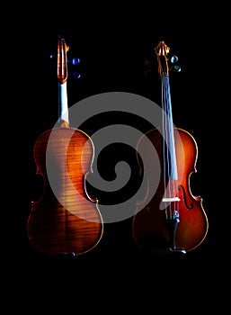 The Violin (front and back)