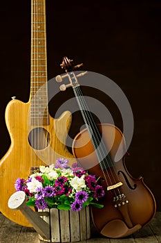 Violin, guitar on still-life