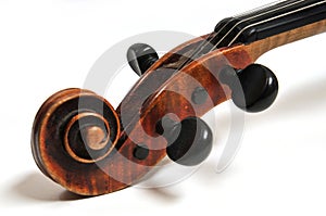 Violin head photo