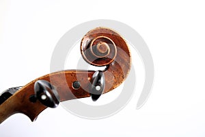 Violin head