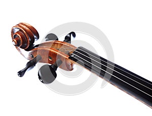Violin head