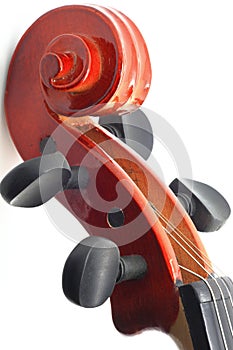 Violin Head photo