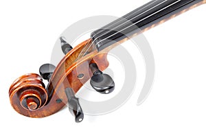 Violin head