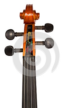 Violin head stock and tuning pegs