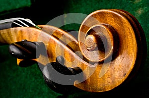 Violin headstock in case