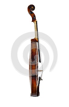 A violin image on the white background