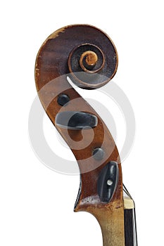 A violin image on the white background