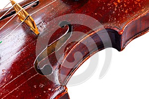 A violin image on the white background close up