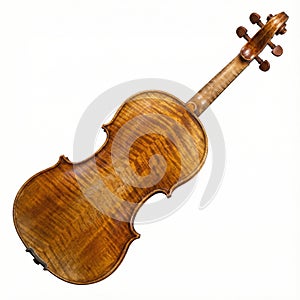 Violin Instrument Back And Scroll