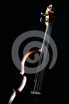 Violin isolated on black