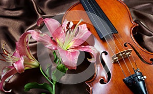 Violin and lily on a silk background