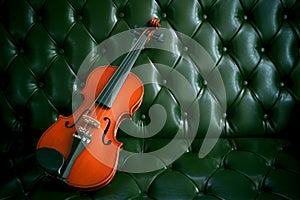 Violin on luxury green leather sofa