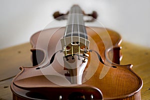 Violino 