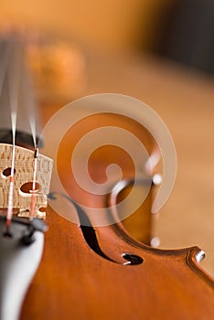 Violin Macro photo