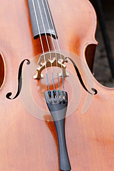 Violin, music instrument