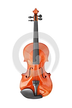 violin music instrument  on white
