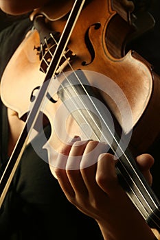 Violin musical photo