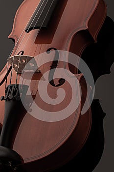 Violin musical instruments of orchestra closeup on black.