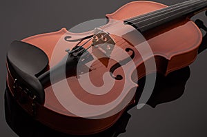 Violin musical instruments of orchestra closeup on black.