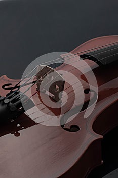 Violin musical instruments of orchestra closeup on black