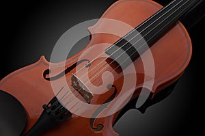 Violin musical instruments of orchestra closeup on black