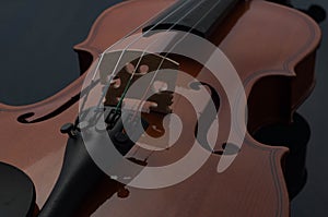 Violin musical instruments of orchestra closeup on black