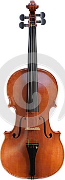 Violin, Musical String Instrument, Isolated, Music