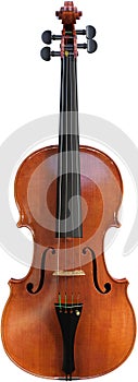 Violin, Musical String Instrument, Isolated, Music photo