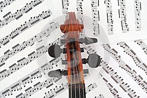 Violin Peg Box with Music photo