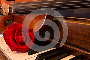 Violin, Piano, and Rose