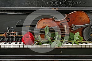 Violin piano rose