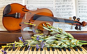Violin, Piano, and Spring Flowers photo