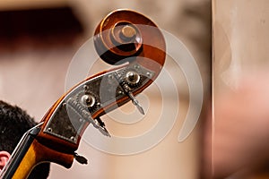 Violin Playing Hands Close Up