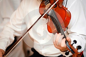 Violin playing viola musician playing . Man violinist classical musical instrument  fiddle