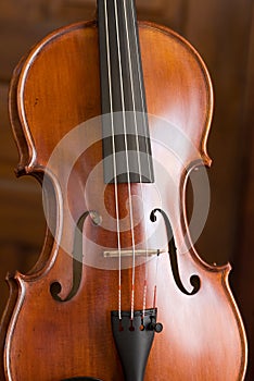 Violin Portrait photo