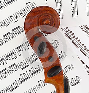 Violin Profile Scroll photo
